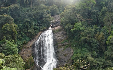Attukal Waterfalls
