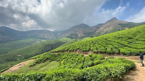Kolukkumalai Tea Estate