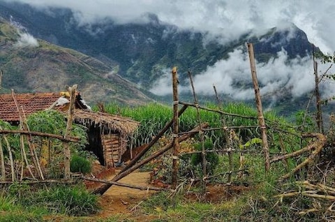 Marayur