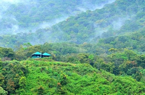 Pampadum Shola National Park