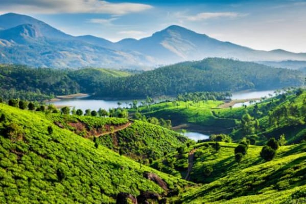 Munnar_Mountains