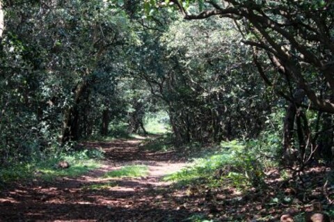 Phansad Bird Sanctuary