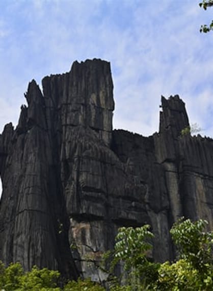 Murudeshwar Yana Portrait Image