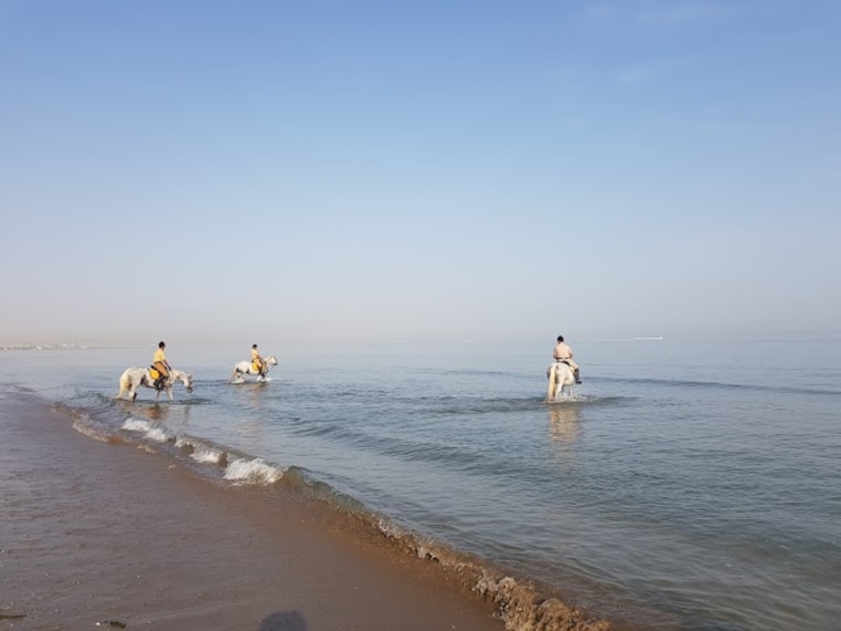 Qurum_Beach_2