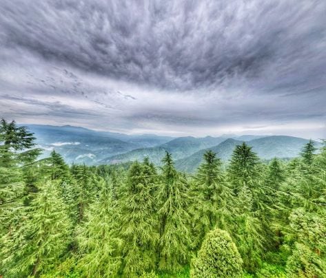 mussoorie_lal_tibba_4