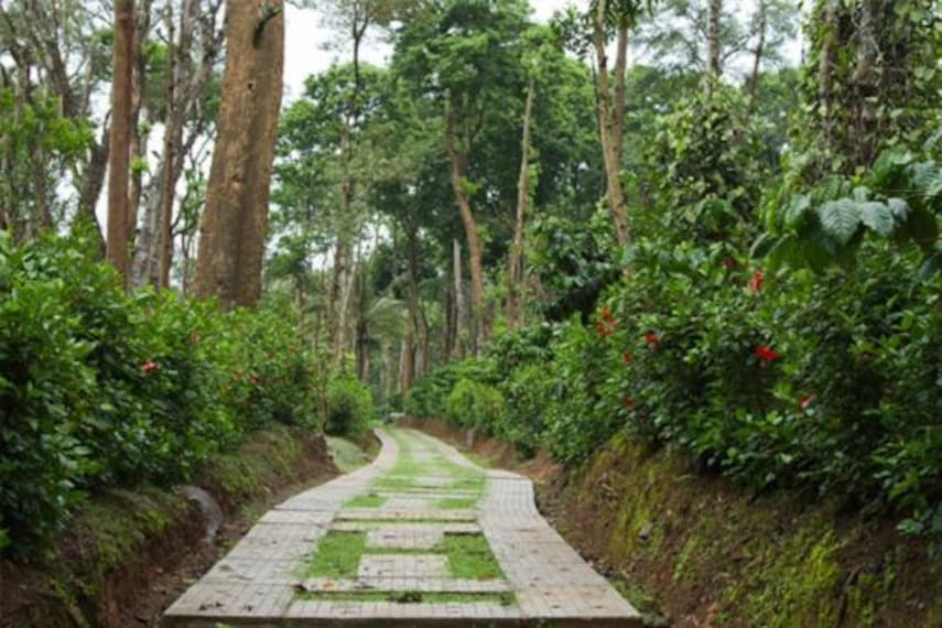 Machaan-3