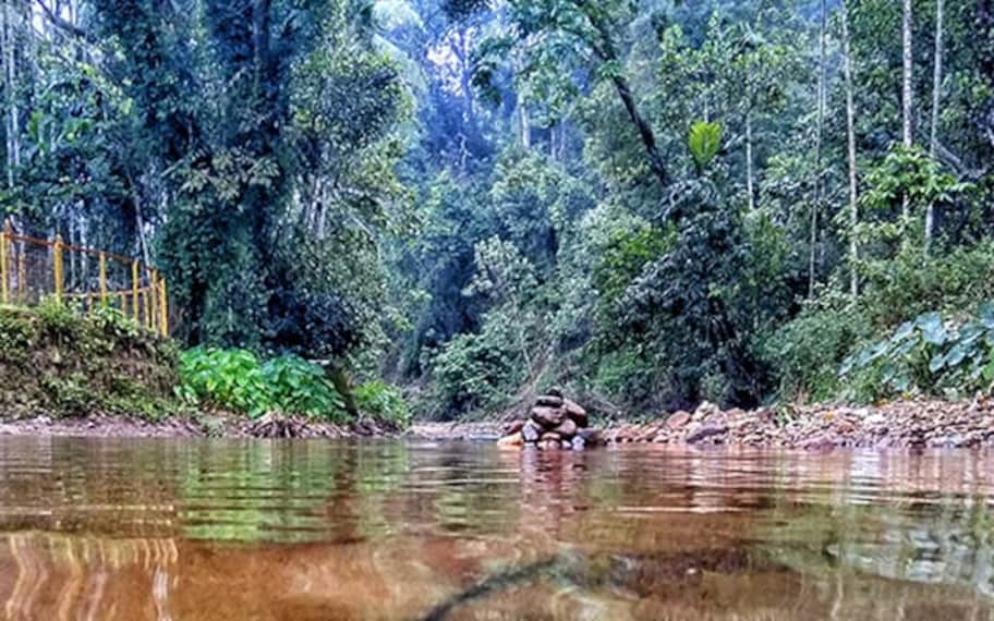 nagarhole_kukke_subramanya_temple