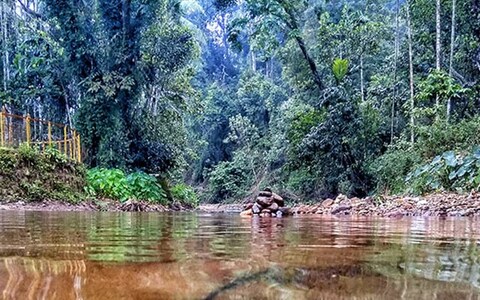 Kukke Subramanya Temple