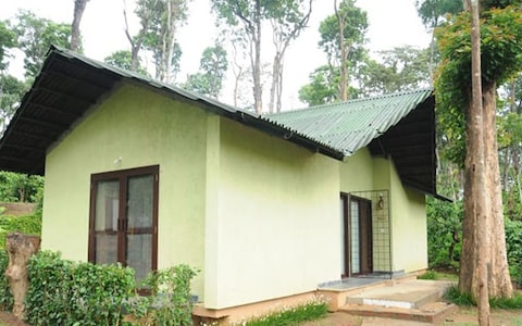 Machaan