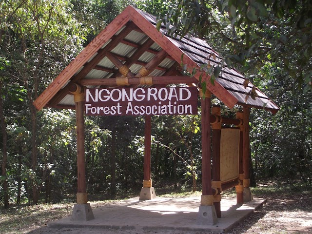 Nairobi_Road_Forest_Sanctuary_1