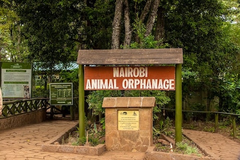 Nairobi Animal Orphanage