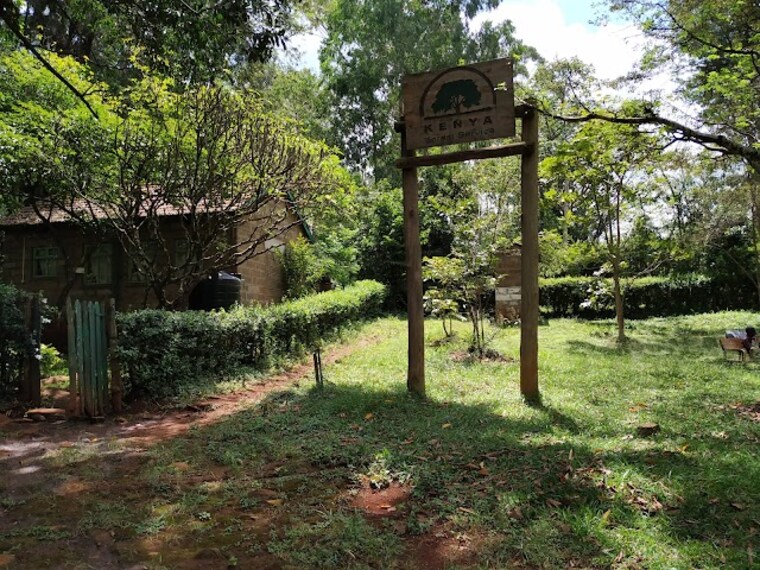 Nairobi_Arboretum_1
