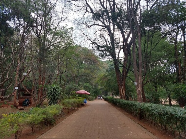 Nairobi_Arboretum_3