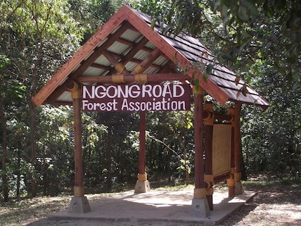Nairobi Road Forest Sanctuary