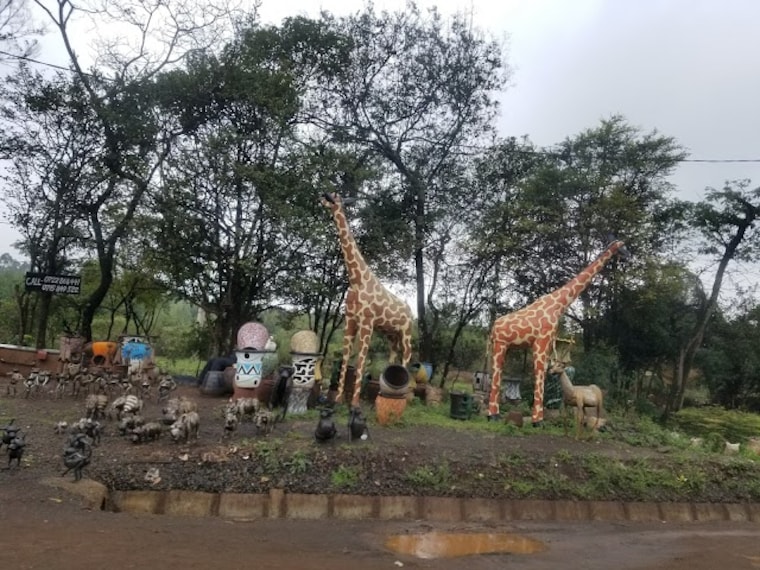 Nairobi_Road_Forest_Sanctuary_3