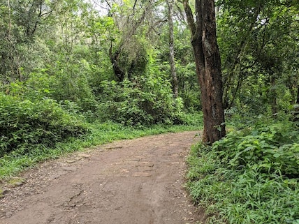 Oloolua Nature Trail