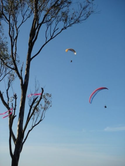 Paragliding-3