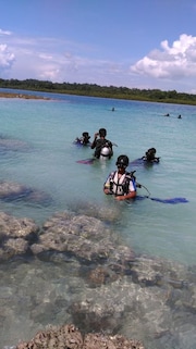 Go Diving and Sea Walking