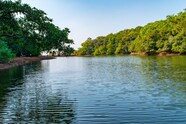 Matheran Tourist Places Top Things To Do In 2024