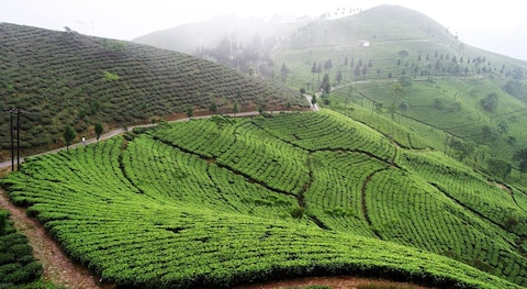 Image from popular destination Darjeeling - Majestic ‘Queen of the Hills’