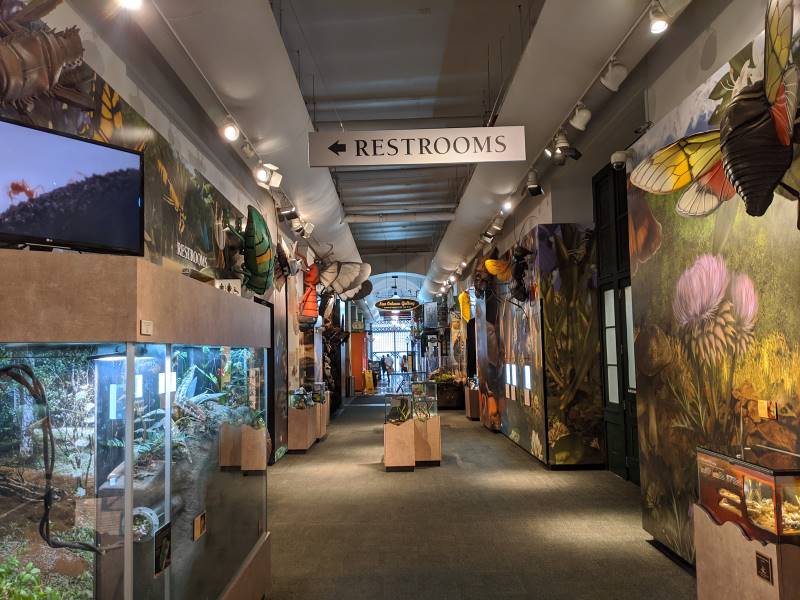 New_Orleans_Audubon_Insectarium_3