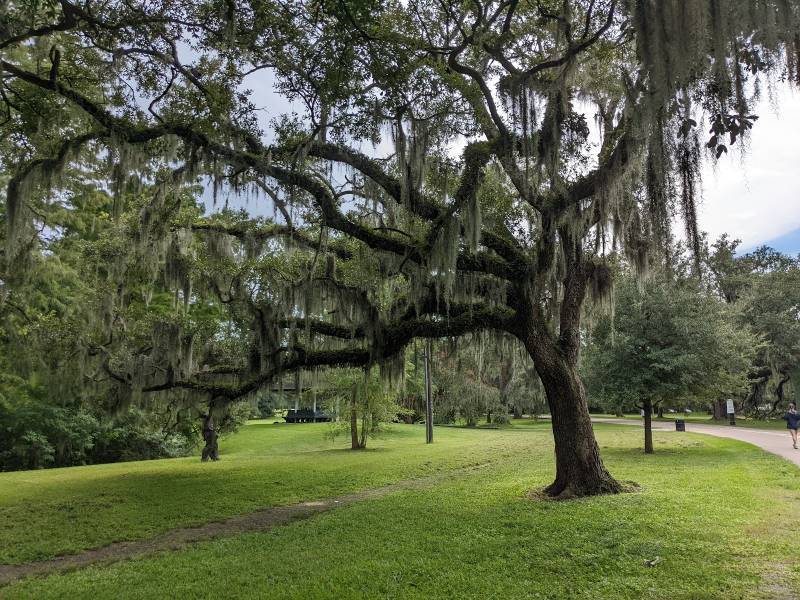 New_Orleans_Audubon_Park_1