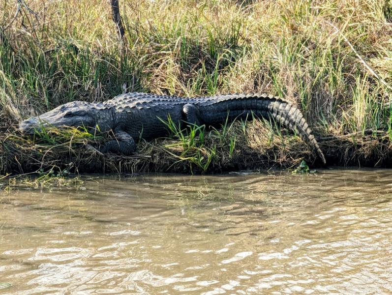 New_Orleans_Jean_Lafitte_National_Historical_Park_and_Preserve_2