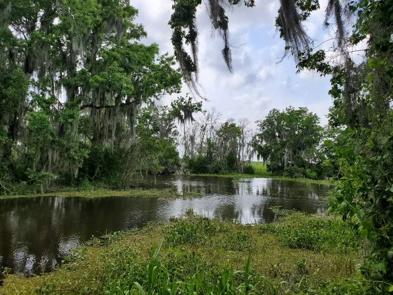 New_Orleans_Jean_Lafitte_National_Historical_Park_and_Preserve_4