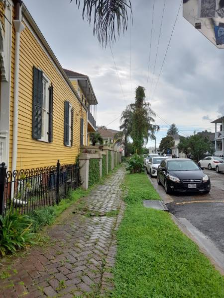New_Orleans_Magazine_Street_4