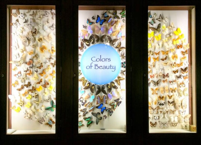 New_Orleans_Audubon_Insectarium_10