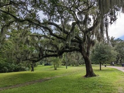 Audubon Park