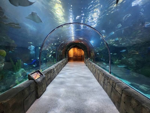 Audubon Aquarium