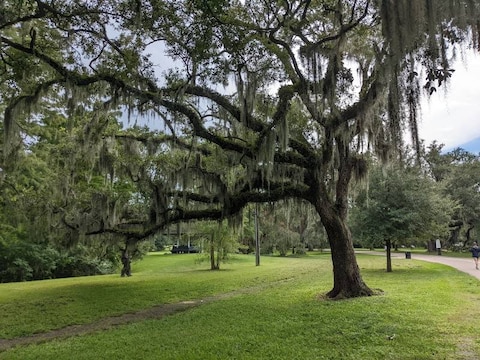 Audubon Park