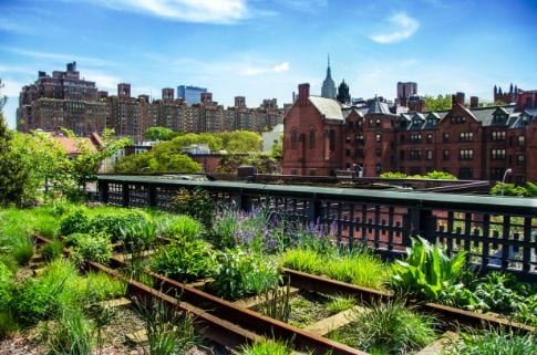 new_york_high_line