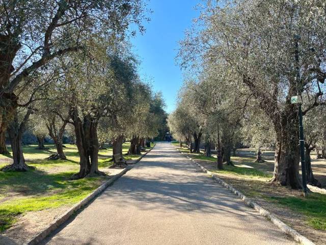 Nice_Garden_of_Arenas_Cimiez_9