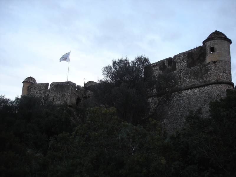 Nice_Mount_Boron_5