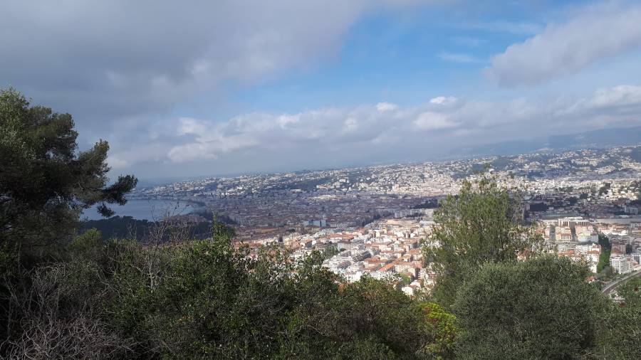 Nice_Parc_du_Mont_Boron_3
