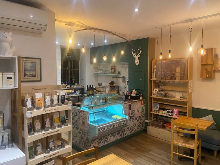 Nice_La_Dame_au_Cerf_5