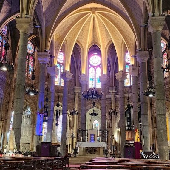 Nice_Notre-Dame_De_Nice_3