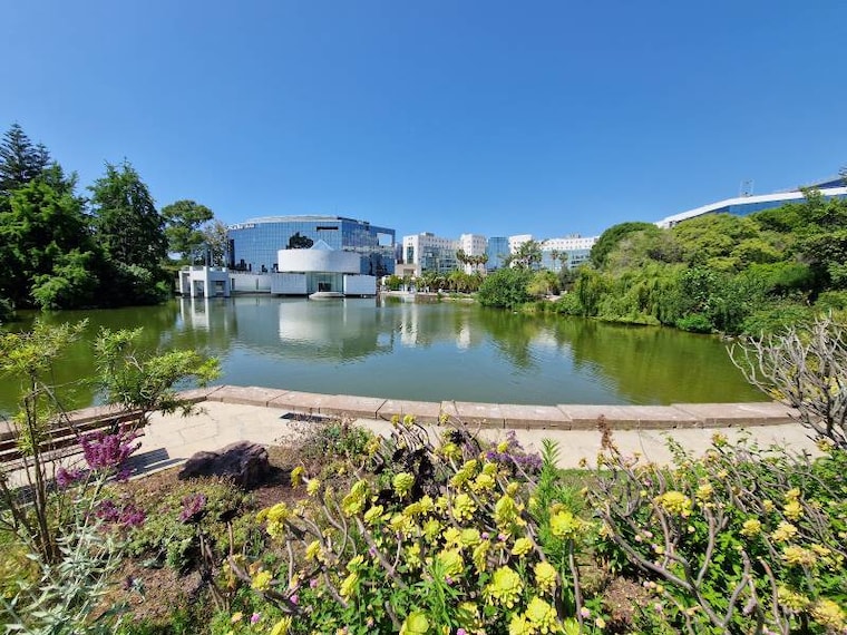 Nice_Parc_Phoenix_10