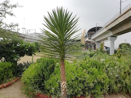 Botanical garden Near Noida