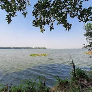 Okhla bird sanctuary