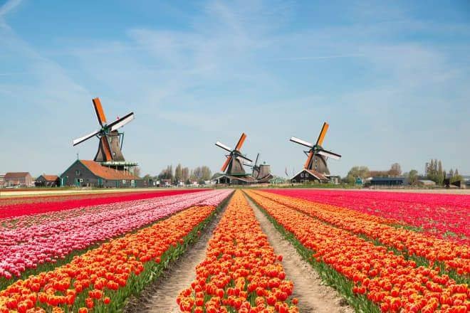 Amsterdam_Garden_of_Europe_2