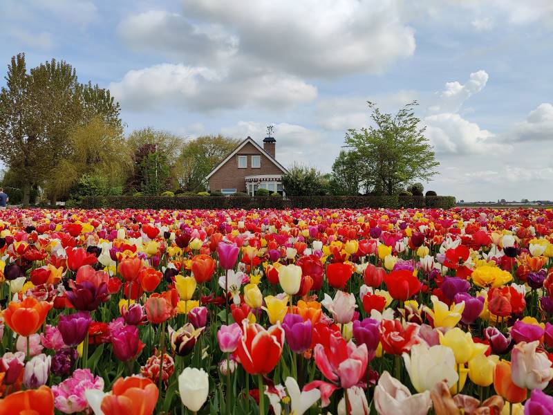 Amsterdam_Garden_of_Europe_3