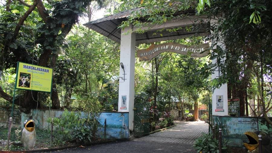 Kochi_Mangalavanam_Bird_Sanctuary_1
