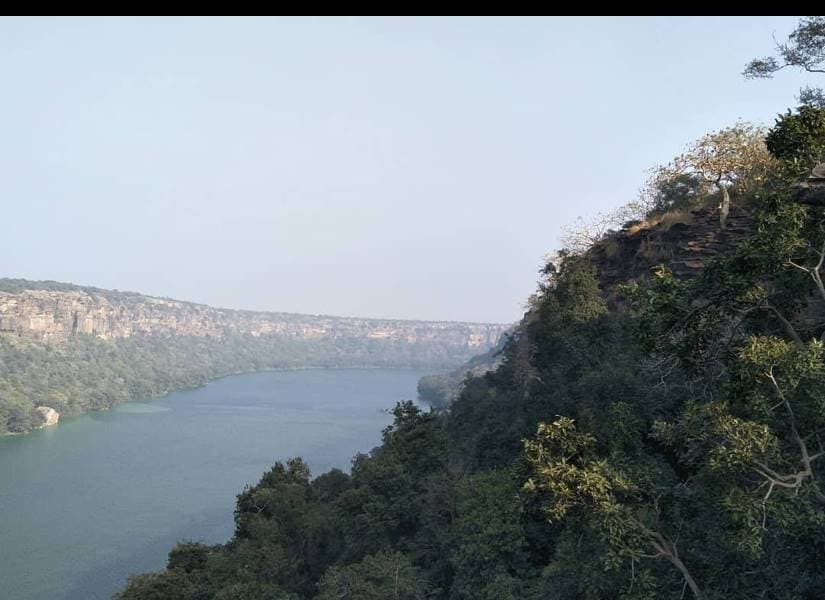 Kota_Darrah_Wildlife_Sanctuary_4