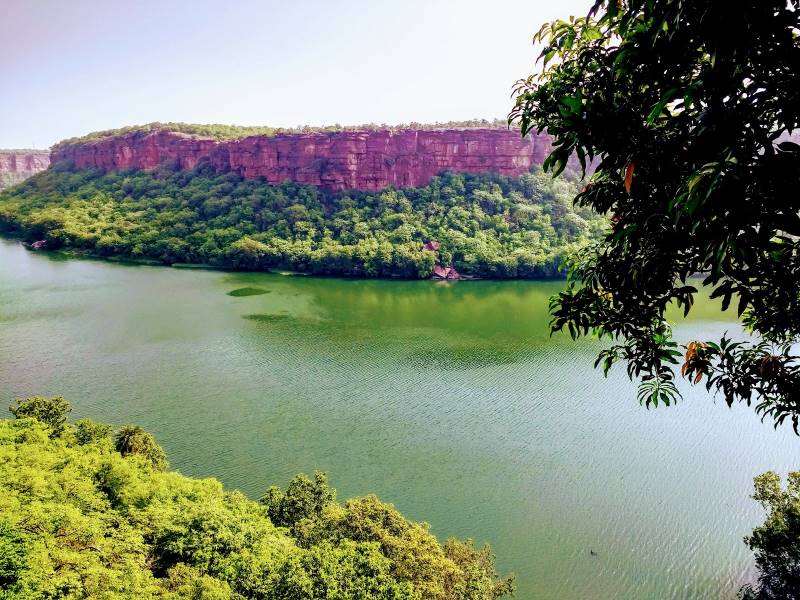 Kota_Darrah_Wildlife_Sanctuary_6