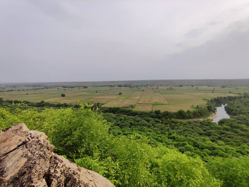 Kota_Darrah_Wildlife_Sanctuary_7