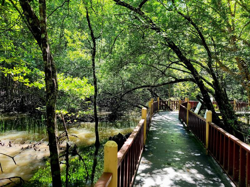 Langkawi_Klim_Geoforest_Park_9