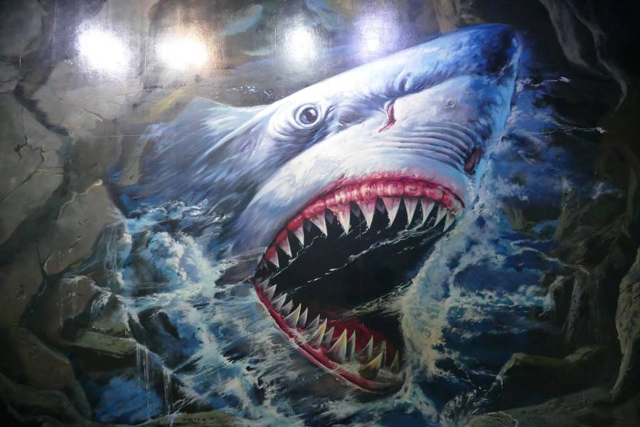 Langkawi_Paradise_3D_Museum_1